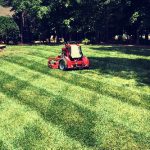 Lawn Maintenance