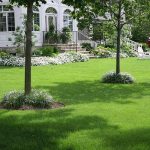 Landscape Design