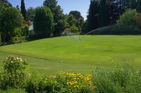 Pruning Services in Denver, North Carolina