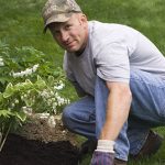 Planting Services