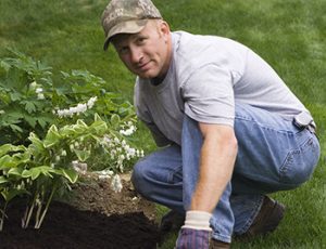Planting Services in Denver, North Carolina