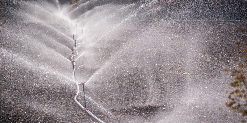 Sprinkler Line Repair in Denver, North Carolina