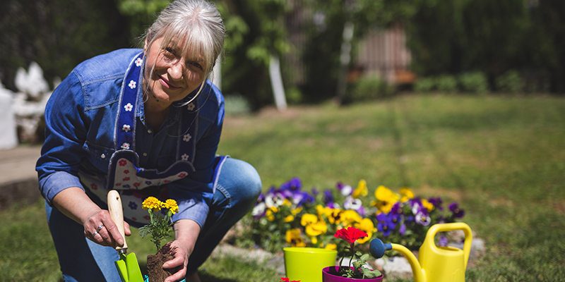 Flower Planting in Denver, North Carolina