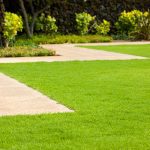 Lawn Edging