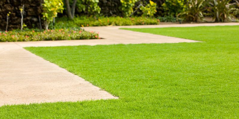 Lawn Edging in Denver, North Carolina