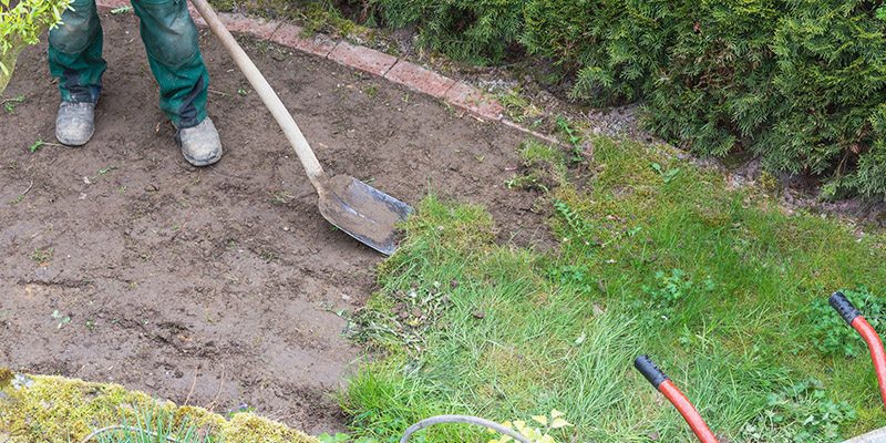 Lawn Reseeding in Sherrills Ford, North Carolina