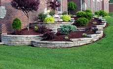 Bone's Yard Care Solutions