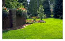 Bone's Yard Care Solutions