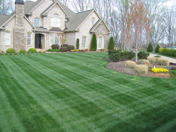 Bone's Yard Care Solutions