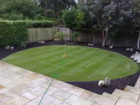 Bone's Yard Care Solutions