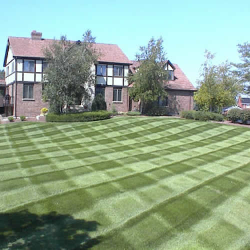Bone's Yard Care Solutions